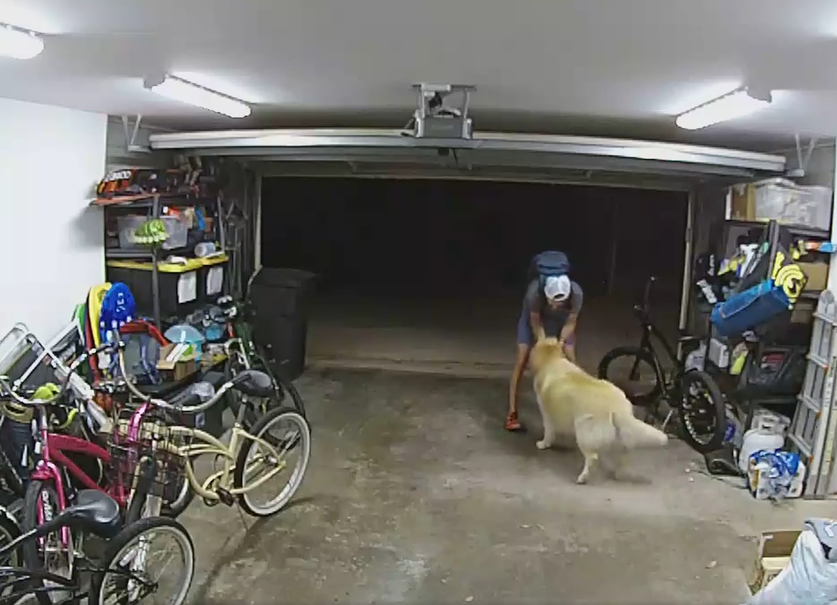 ΗΠΑ: Θέλησε να κλέψει ποδήλατο και δέχτηκε «επίθεση αγάπης» από τον σκύλο της οικογένειας