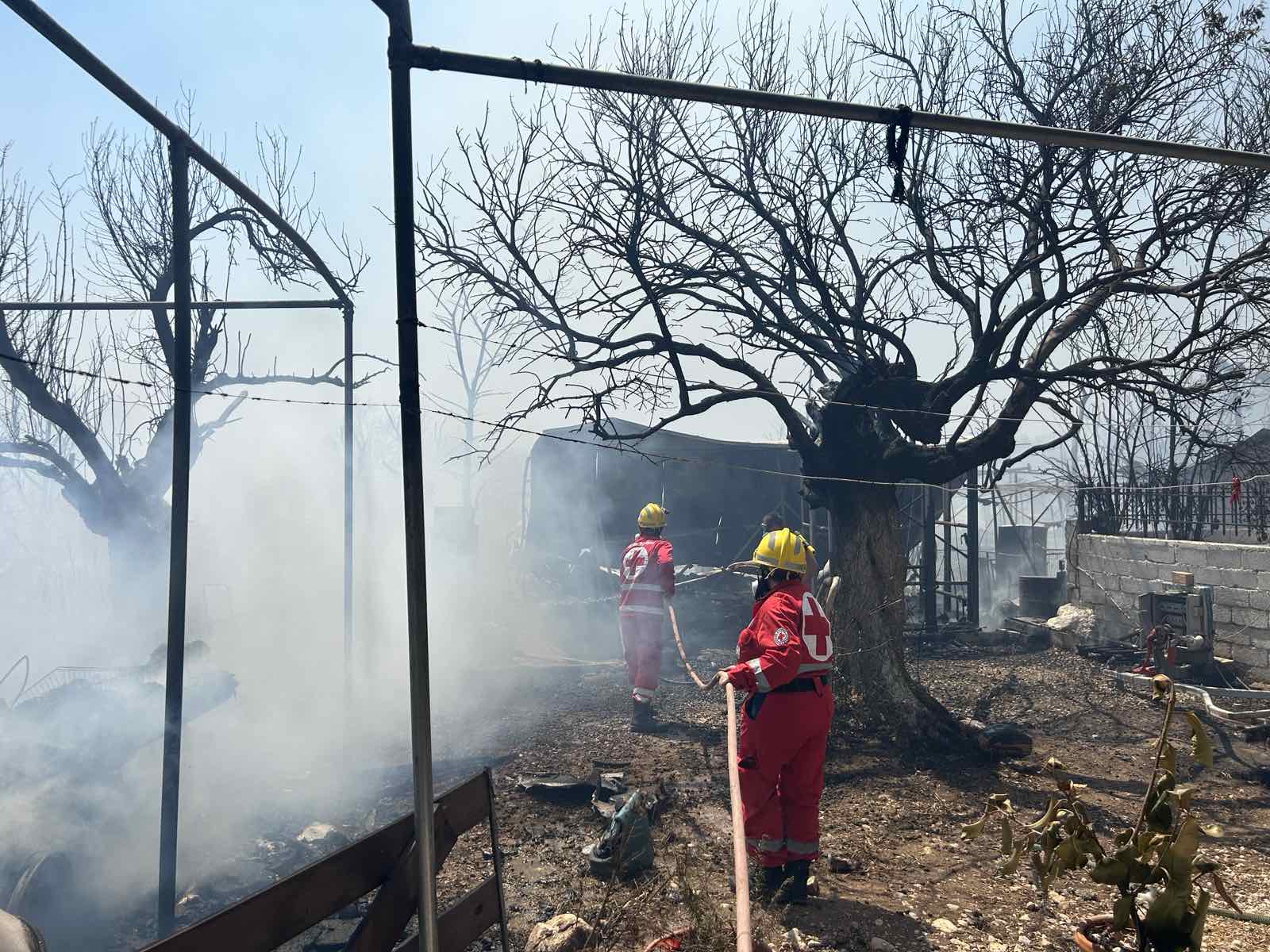 Φωτιά στη Βοιωτία: Μήνυμα του 112 για εκκένωση 9 οικισμών προς Κυριάκι