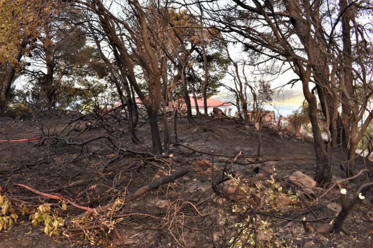 Οριοθετήθηκε η φωτιά στην Πούντα Σκιάθου - Η πυρκαγιά ξέσπασε σε δασική έκταση