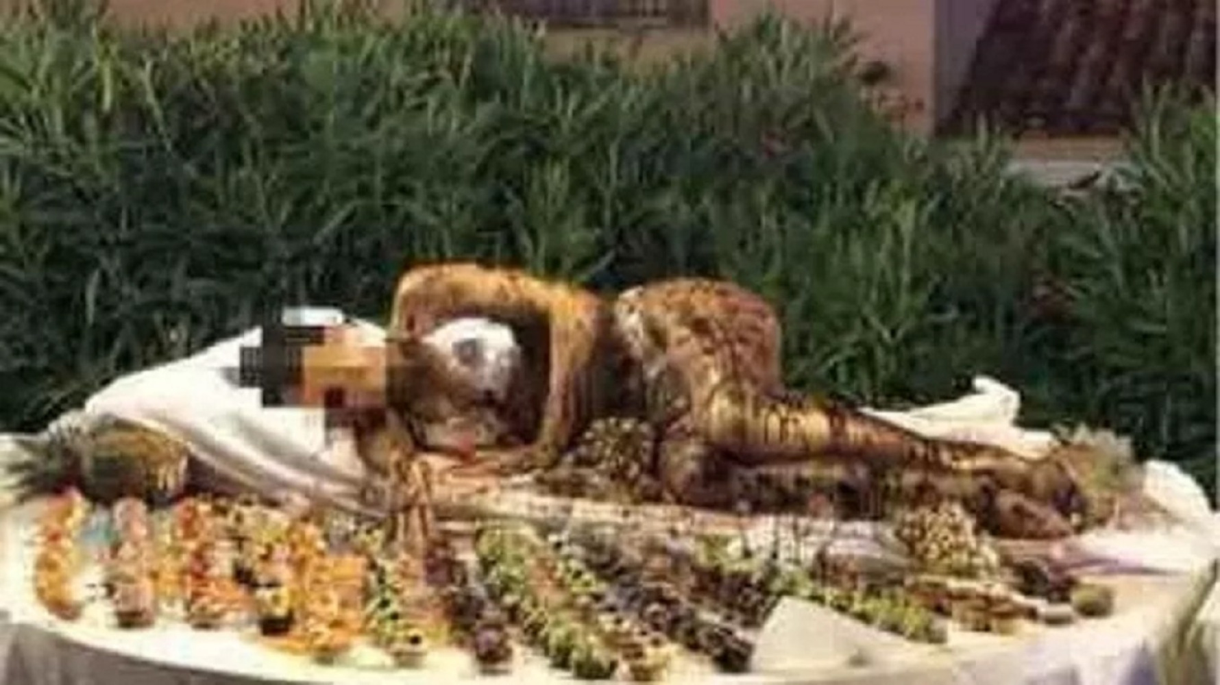 Ιταλία: Εξοργιστική εικόνα σε ξενοδοχείο – Εργαζόμενη καλυμμένη με σοκολάτα ανάμεσα στα γλυκά του μπουφέ