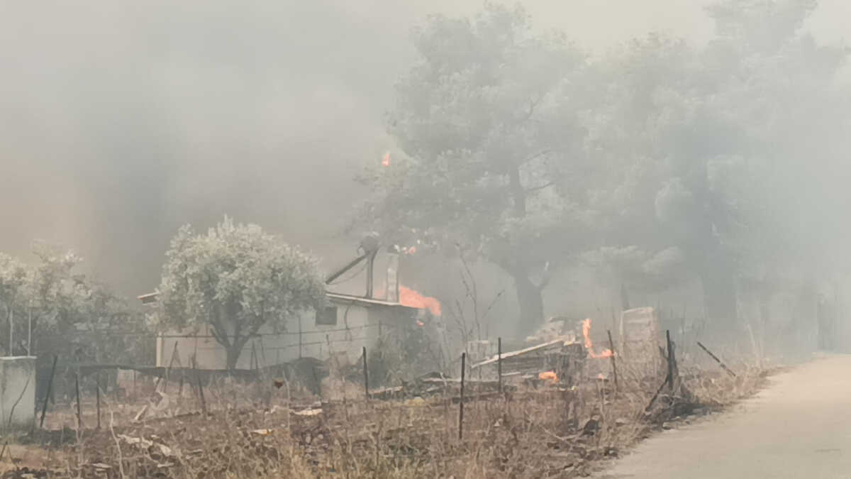 Φωτιά στην Πάρνηθα: Απανωτά μηνύματα από 112! – Εκκενώνονται Αγία Παρασκευή, Καποτά και Λεφάντω – Καίγονται σπίτια