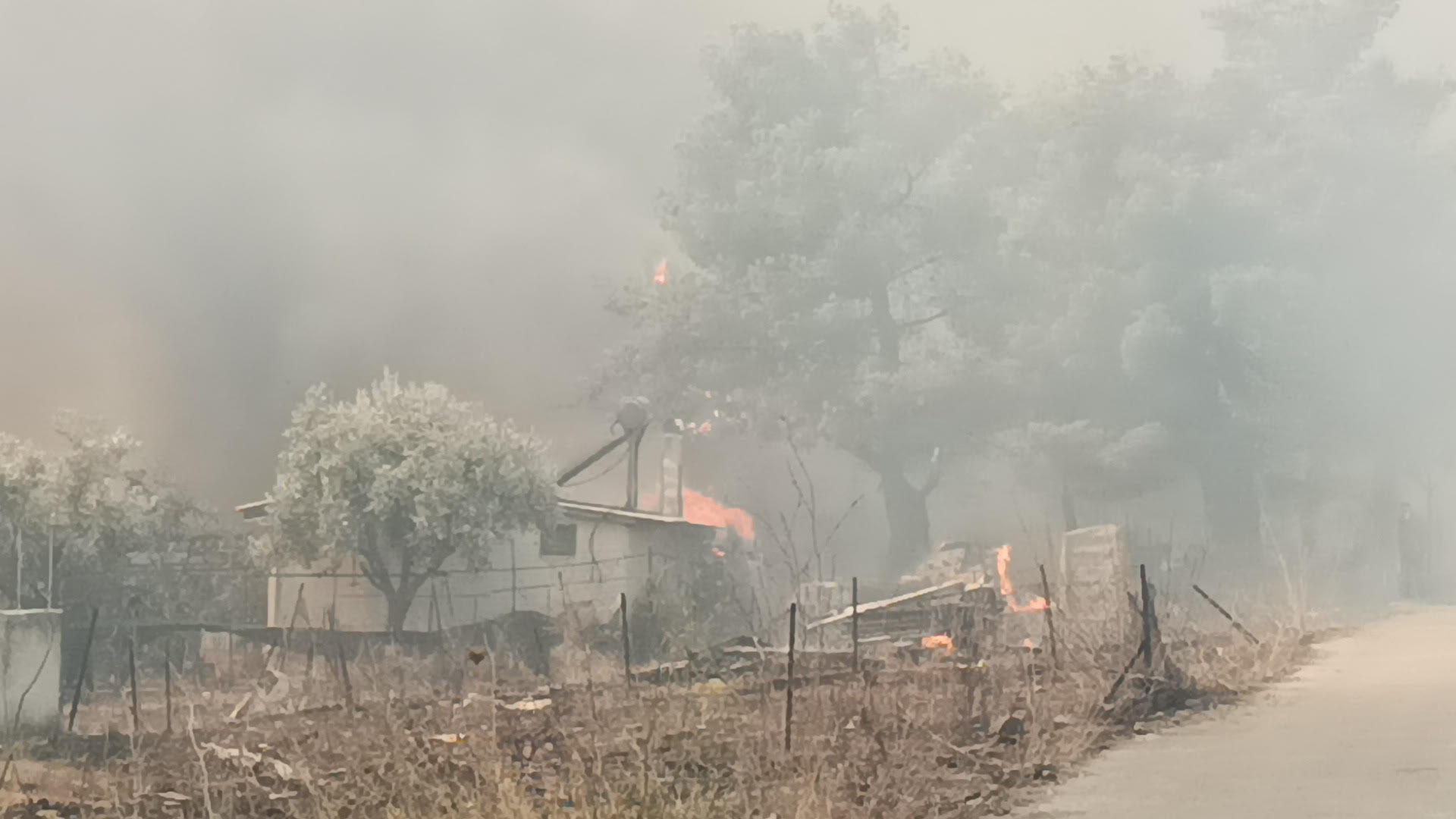 Φωτιά στην Πάρνηθα: Απανωτά μηνύματα από 112! – Εκκενώνονται Αγία Παρασκευή, Καποτά και Λεφάντω – Καίγονται σπίτια