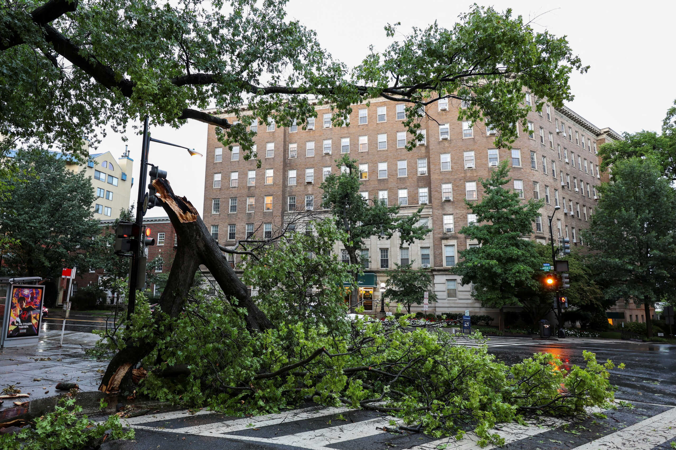 A view of a fallen tree during stormy weather, in Washington, D.C, U.S. August 7, 2023. Phillip Baumgart