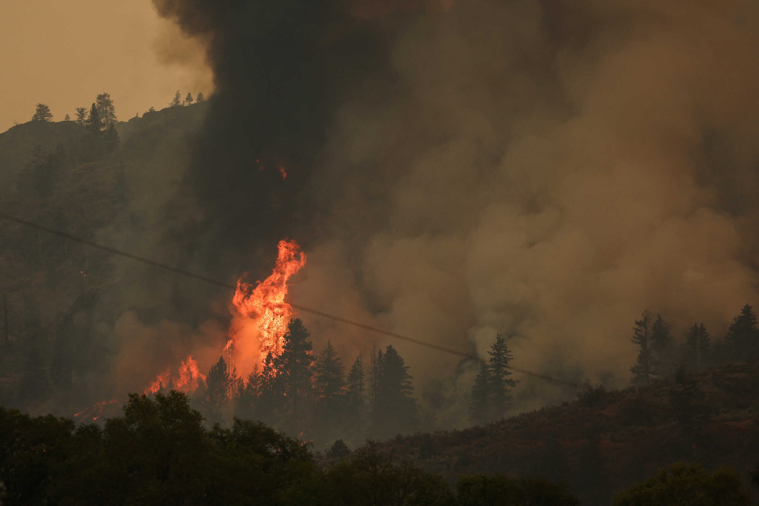 FILE PHOTO: Trees catch fire during the Eagle Bluff wildfire after it crossed the Canada-U.S. border from the state of Washington and prompted evacuation orders, in Osoyoos, British Columbia, Canada July 30, 2023. REUTERS