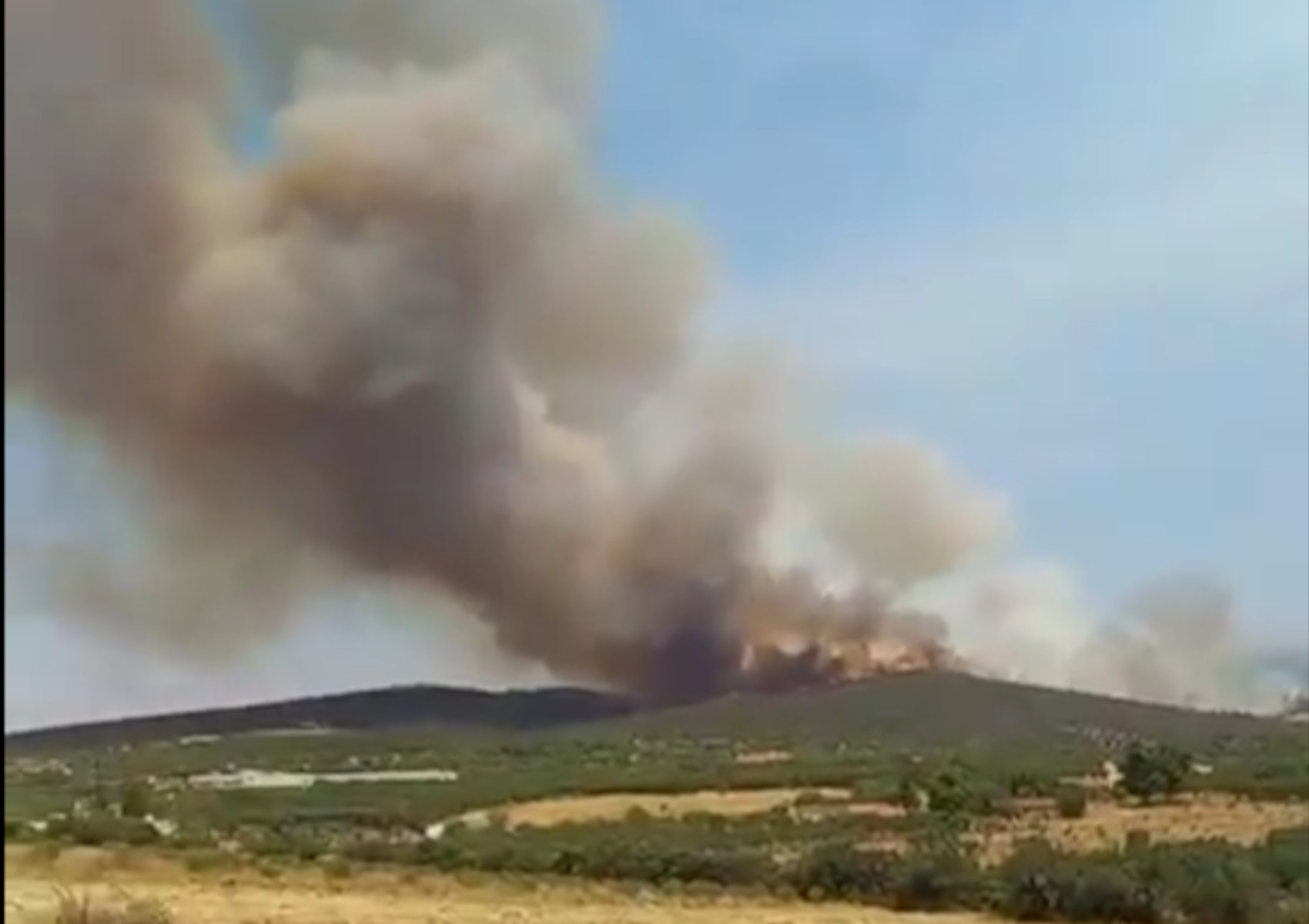 Φωτιά στη Χαλκιδική κοντά στον Πολύγυρο – Ενισχύθηκαν οι πυροσβεστικές δυνάμεις