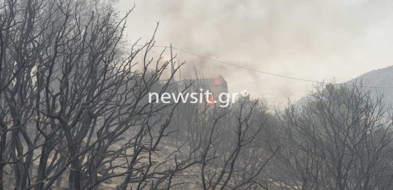 Κόλαση φωτιάς στη Χασιά: Καίγονται  σπίτια – Απεγκλωβίστηκαν οι μοναχές από τη Μονή Κλειστών – Δείτε εικόνες 