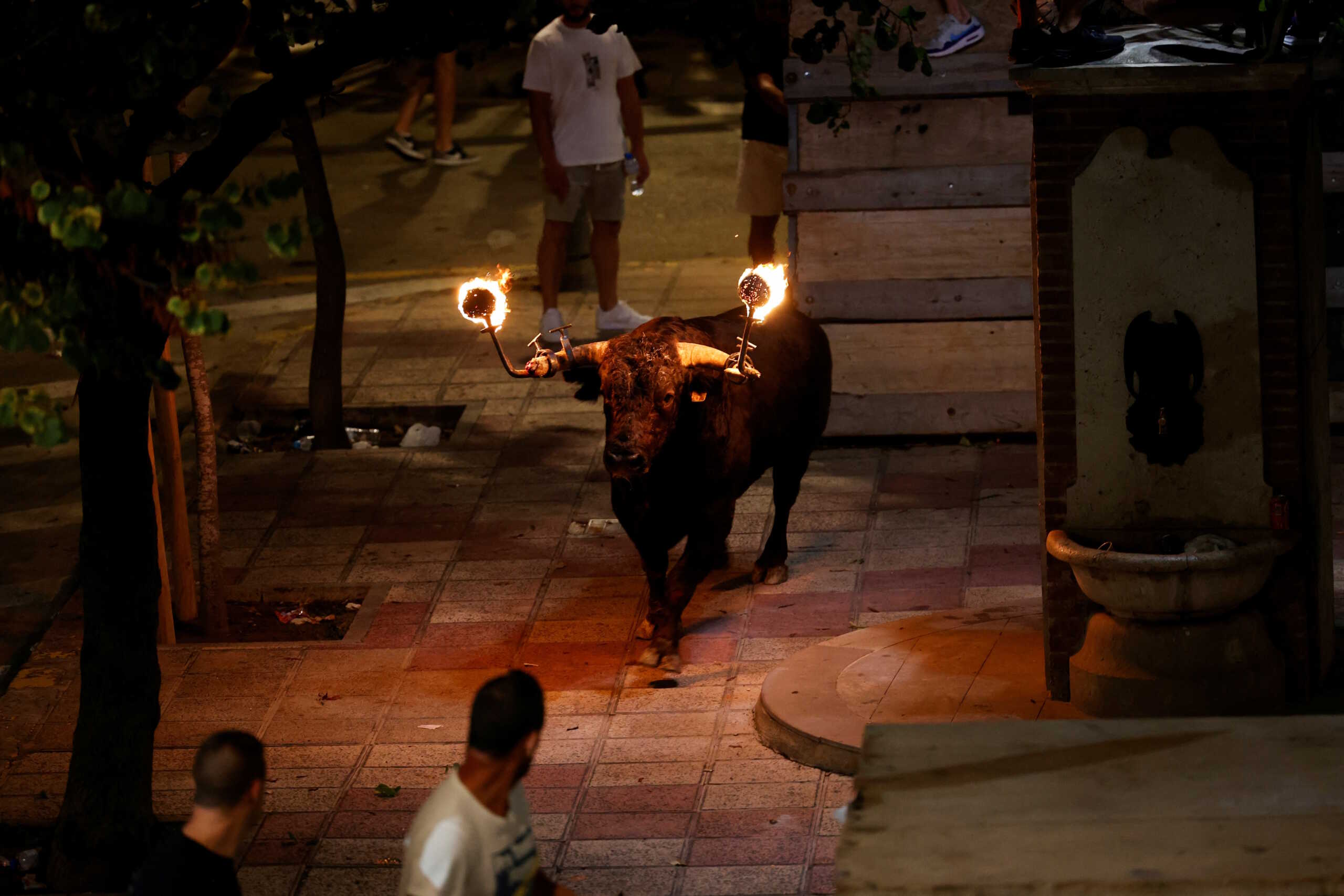 Revellers look at a bull with flaming horns during a festival known as "bou embolat", which was banned in Valencia in 2016, but has been reinstated by the new regional government, in Carpesa, northern Valencia, Spain, September 17, 2023. REUTERS