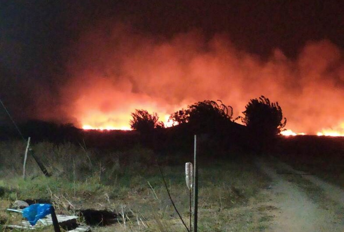 Αχαΐα: Φωτιά στην Στροφυλιά – Καίγεται ο υδροβιότοπος της Λάμιας