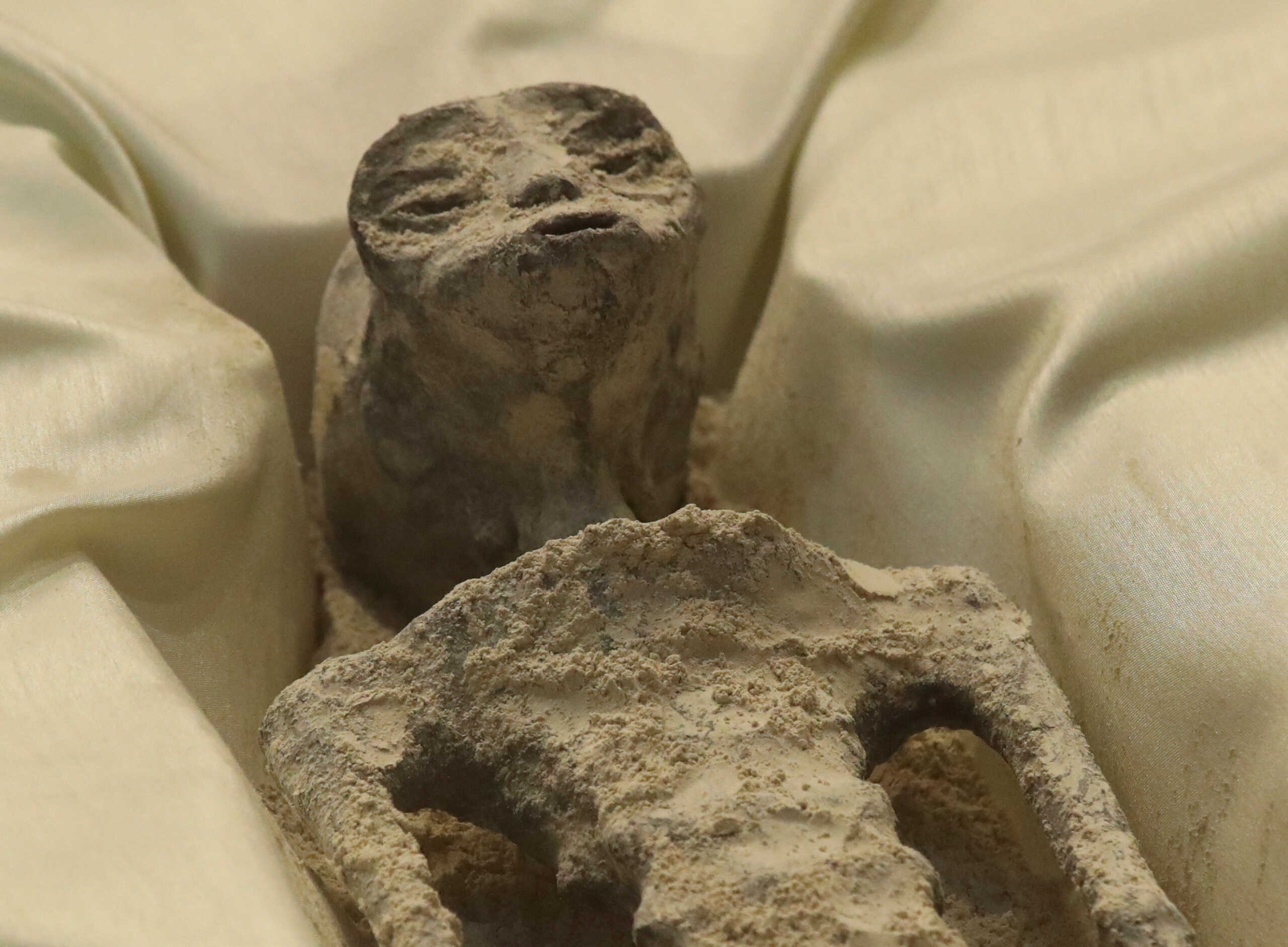 Remains of an allegedly 'non-human' being is seen on display during a briefing on unidentified flying objects, known as UFOs, at the San Lazaro legislative palace, in Mexico City, Mexico September 12, 2023. REUTERS
