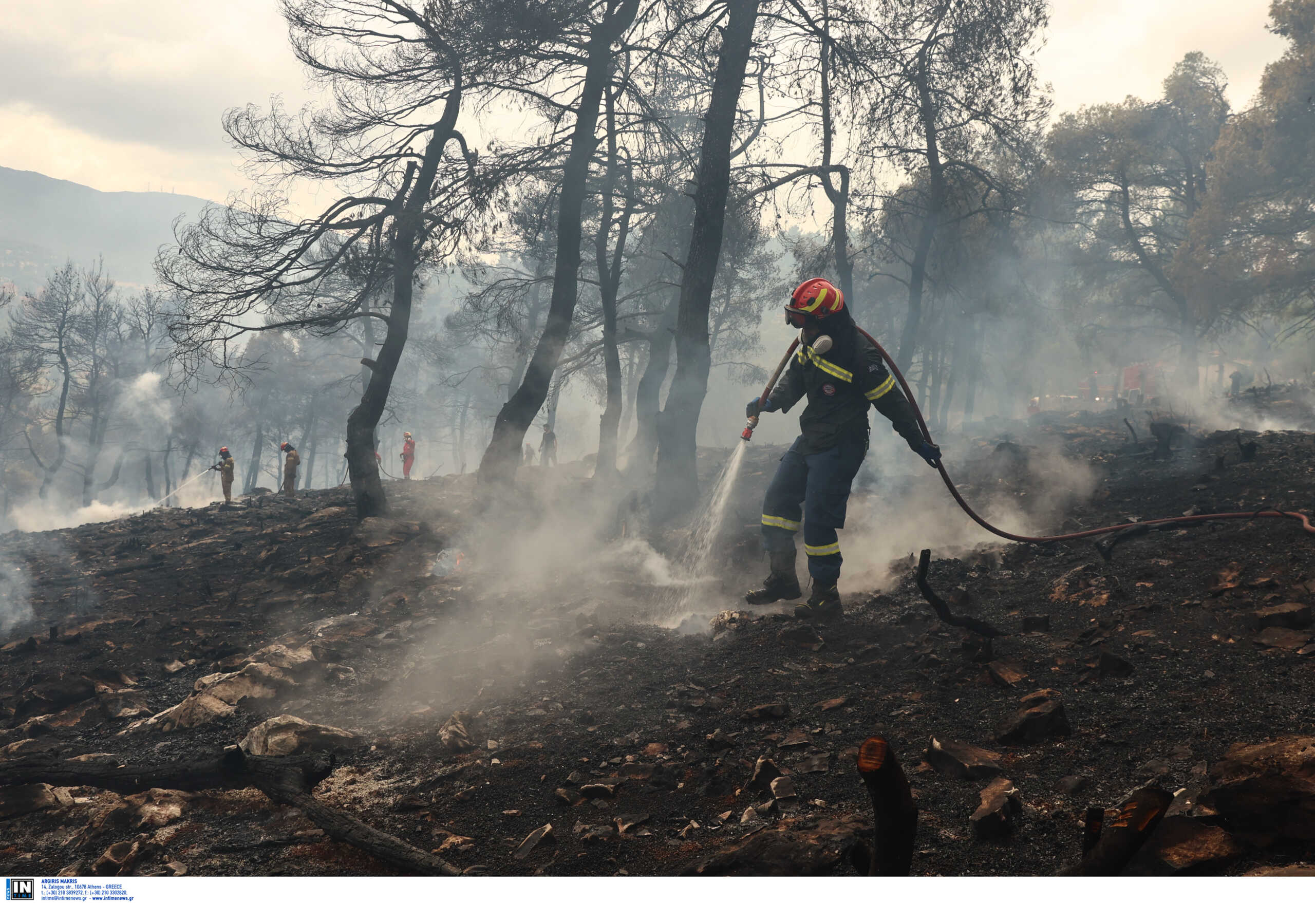 Φωτιά στη Σταμάτα: Υπό μερικό έλεγχο το πύρινο μέτωπο – Έφτασε μέχρι τις αυλές των σπιτιών