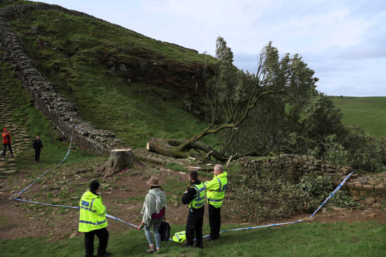 Βάνδαλοι έκοψαν το εμβληματικό δένδρο του Ρομπέν των Δασών στο εθνικό πάρκο του Νορθάμπερλαντ στην Αγγλία