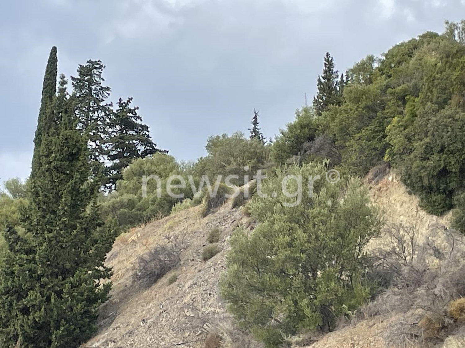 Άρτα: «Μου είπε ότι ήταν ορειβάτης και χάθηκε» δηλώνει στο newsit.gr ο βοσκός που βρήκε τον 38χρονο