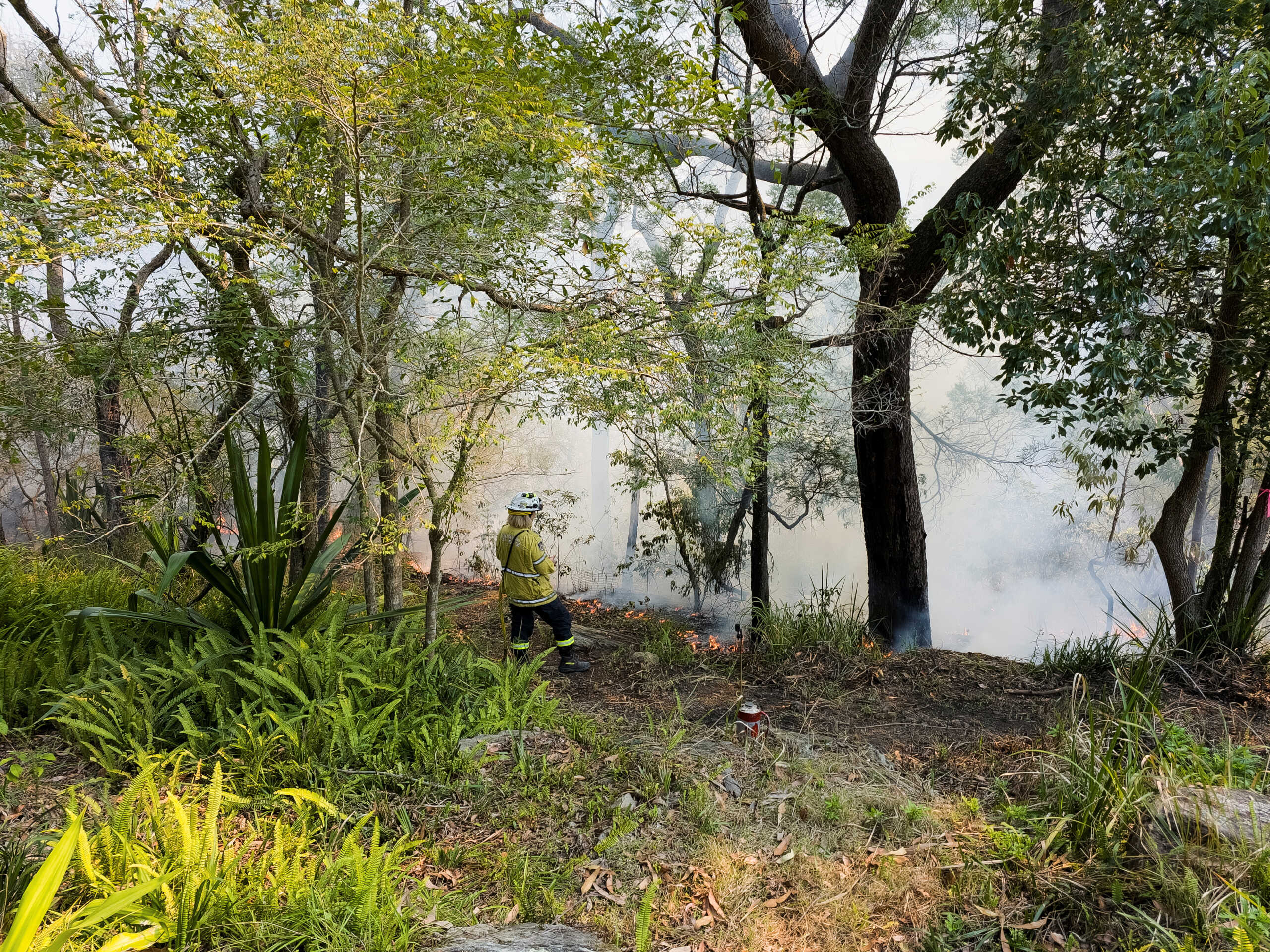 New South Wales Rural Fire Service firefighter Elisabeth Goh monitors a hazard reduction burn in Sydney, Australia, September 10, 2023. REUTERS