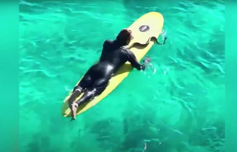 Αυστραλία: Σέρφερ δαμάζει τα κύματα… αγκαλιά με έναν  πύθωνα! Δείτε το βίντεο