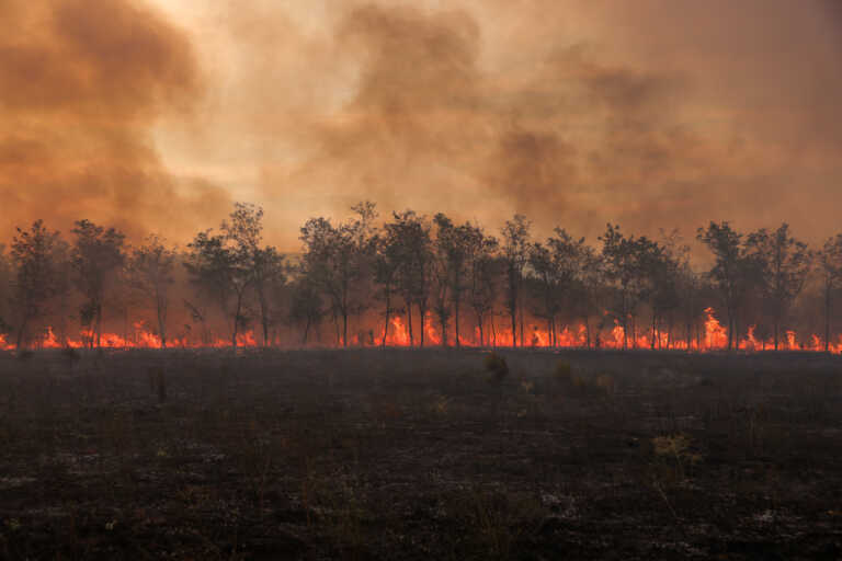 Μήνυμα 112 στη Λευκίμμη - Μαίνεται η φωτιά στον Έβρο, κάηκε τμήμα του μικρού πυρήνα του δάσους της Δαδιάς