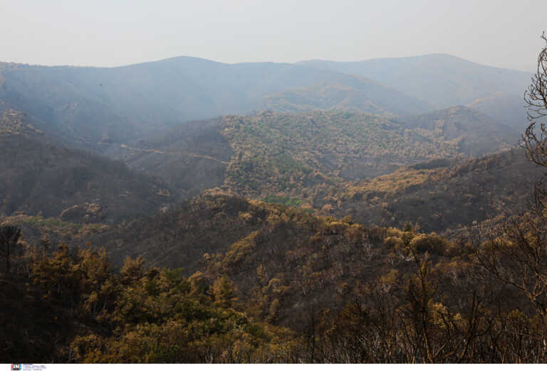 Σε ύφεση η μεγάλη φωτιά στον Έβρο - Στάχτη 930.000 στρέμματα γης