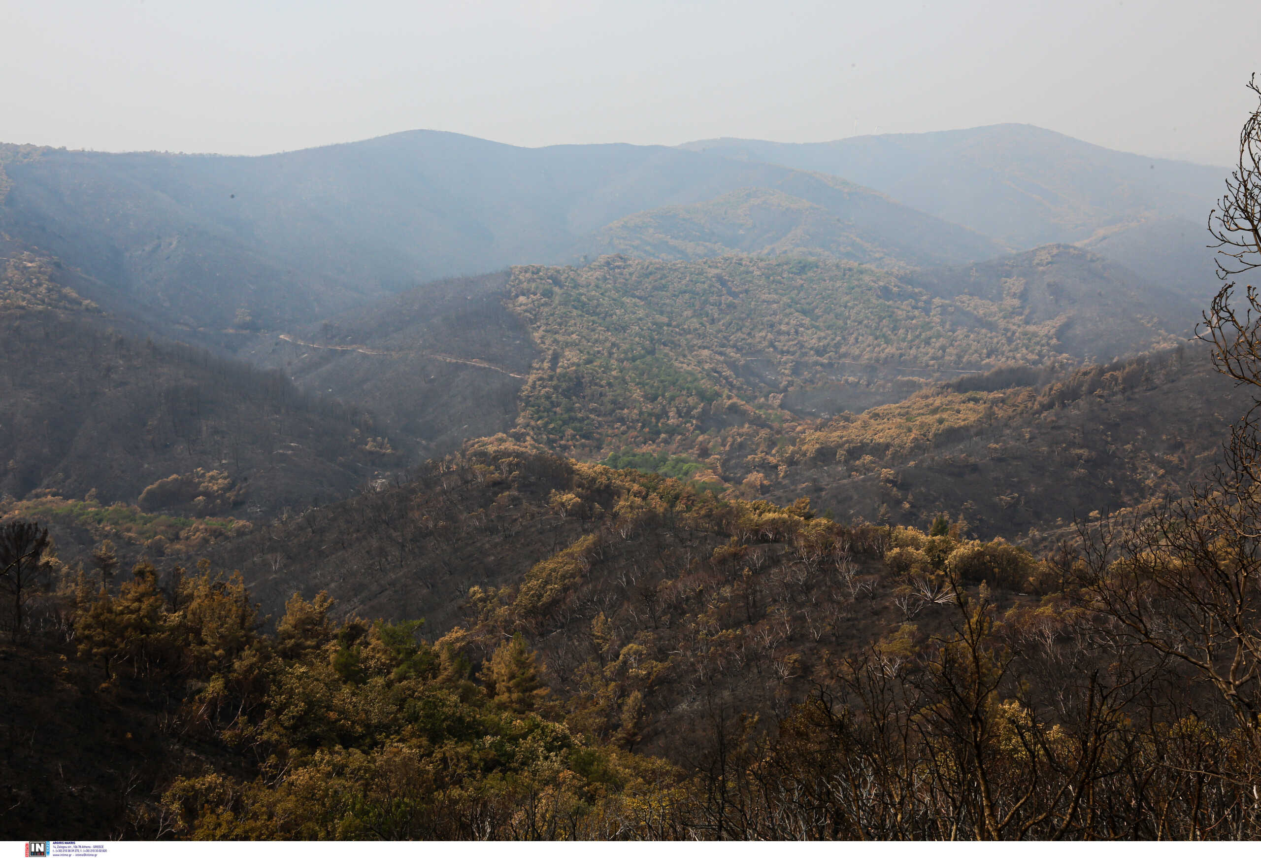 Φωτιά στον Έβρο: Σε ύφεση η μεγάλη πυρκαγιά – Στάχτη 930.000 στρέμματα γης