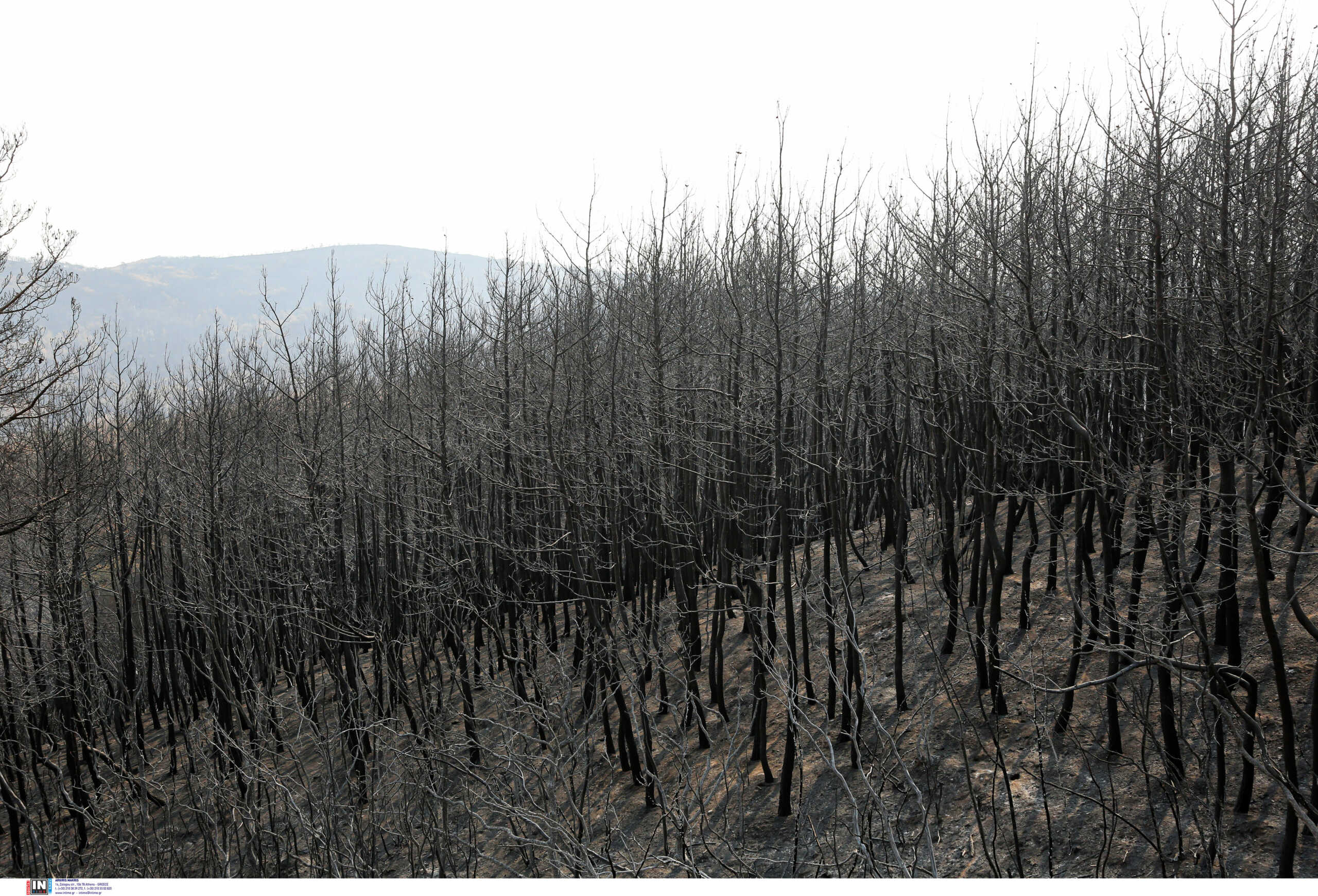 Φωτιά στον Έβρο: Πάνω από 935.000 στρέμματα έγιναν στάχτη!