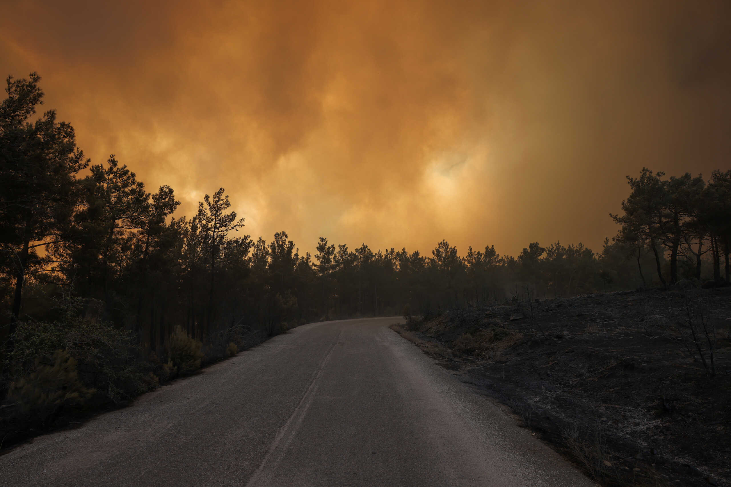 Φωτιά στον Έβρο: Εκκενώνεται η Λευκίμμη – Χάος για 15η συνεχή ημέρα