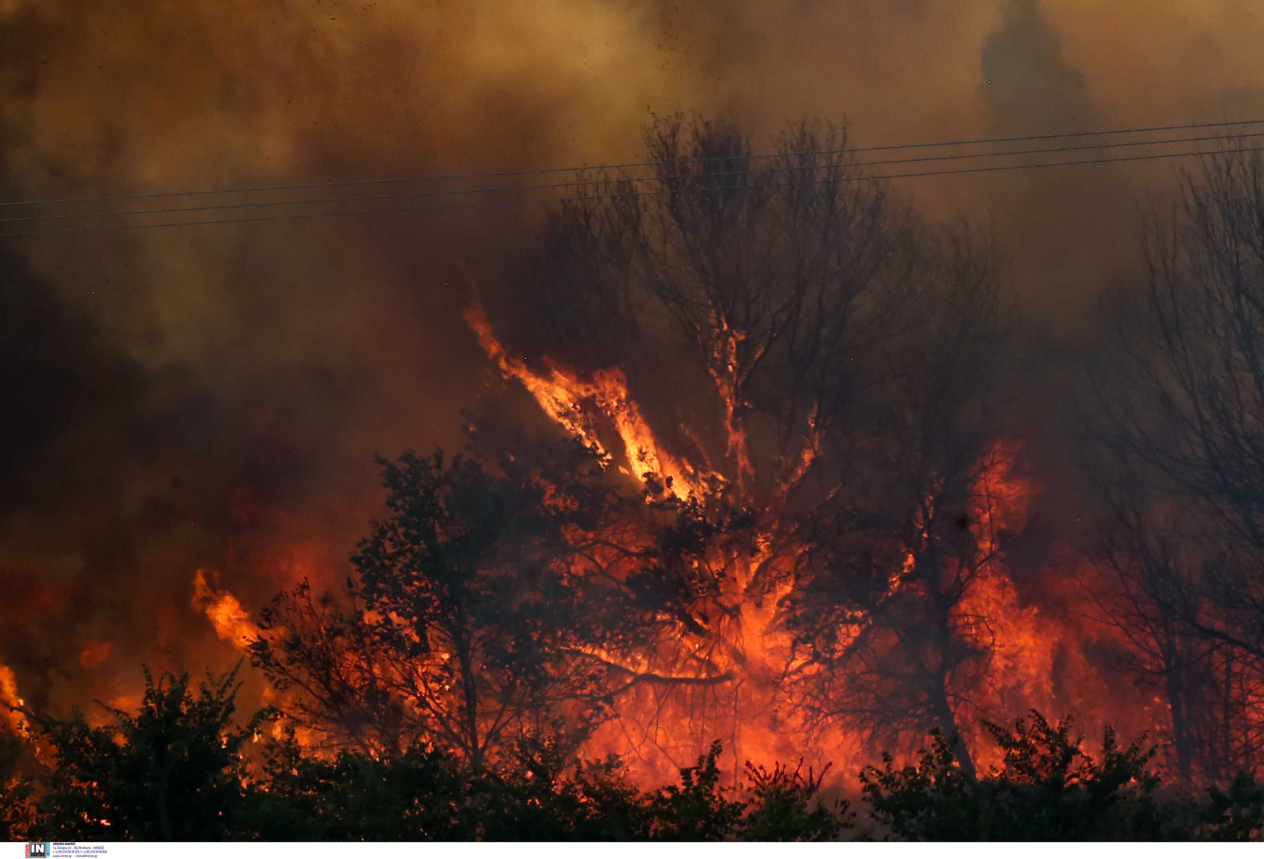 Φωτιά στην Κεφαλονιά – Στις φλόγες αγροτοδασική έκταση στο Λιβάδι