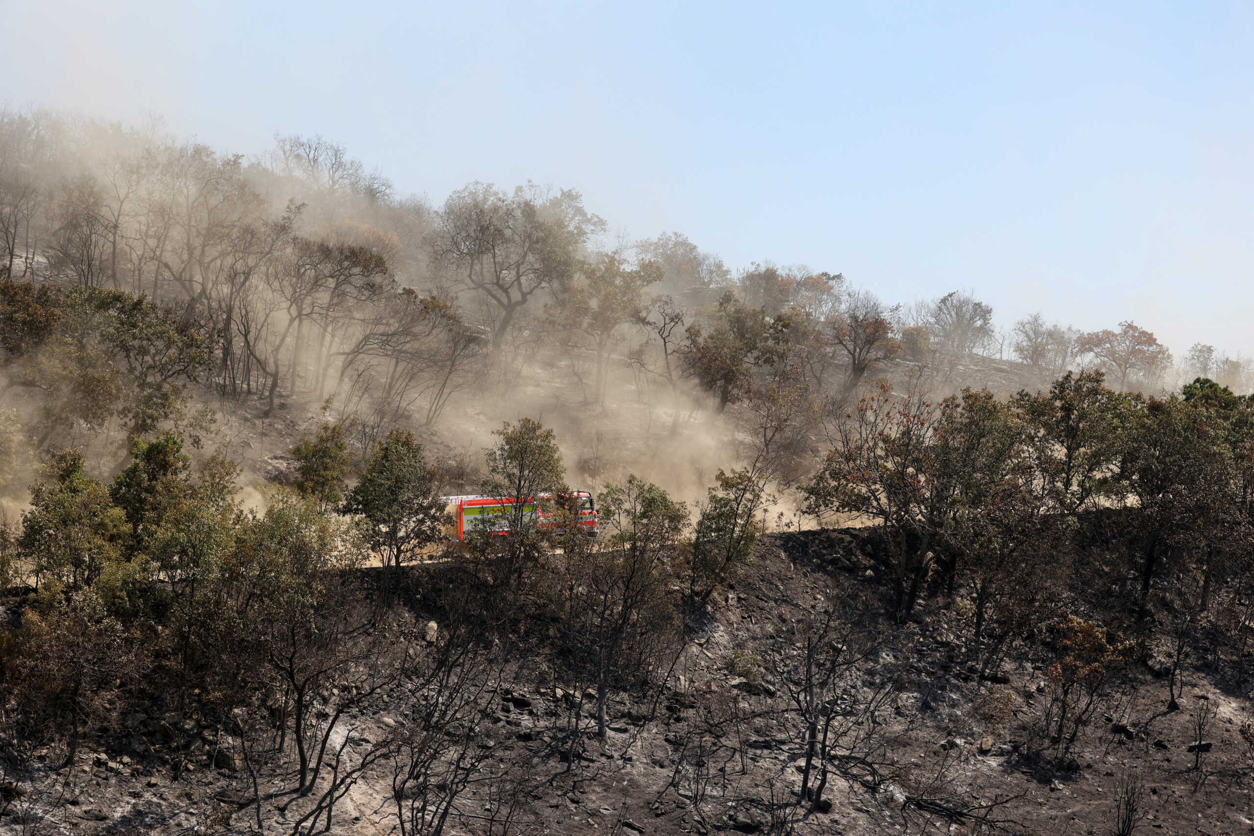 Fire truck drives among charred trees as a wildfire burns at Dadia National Park in the region of Evros, Greece, August 29, 2023. REUTERS