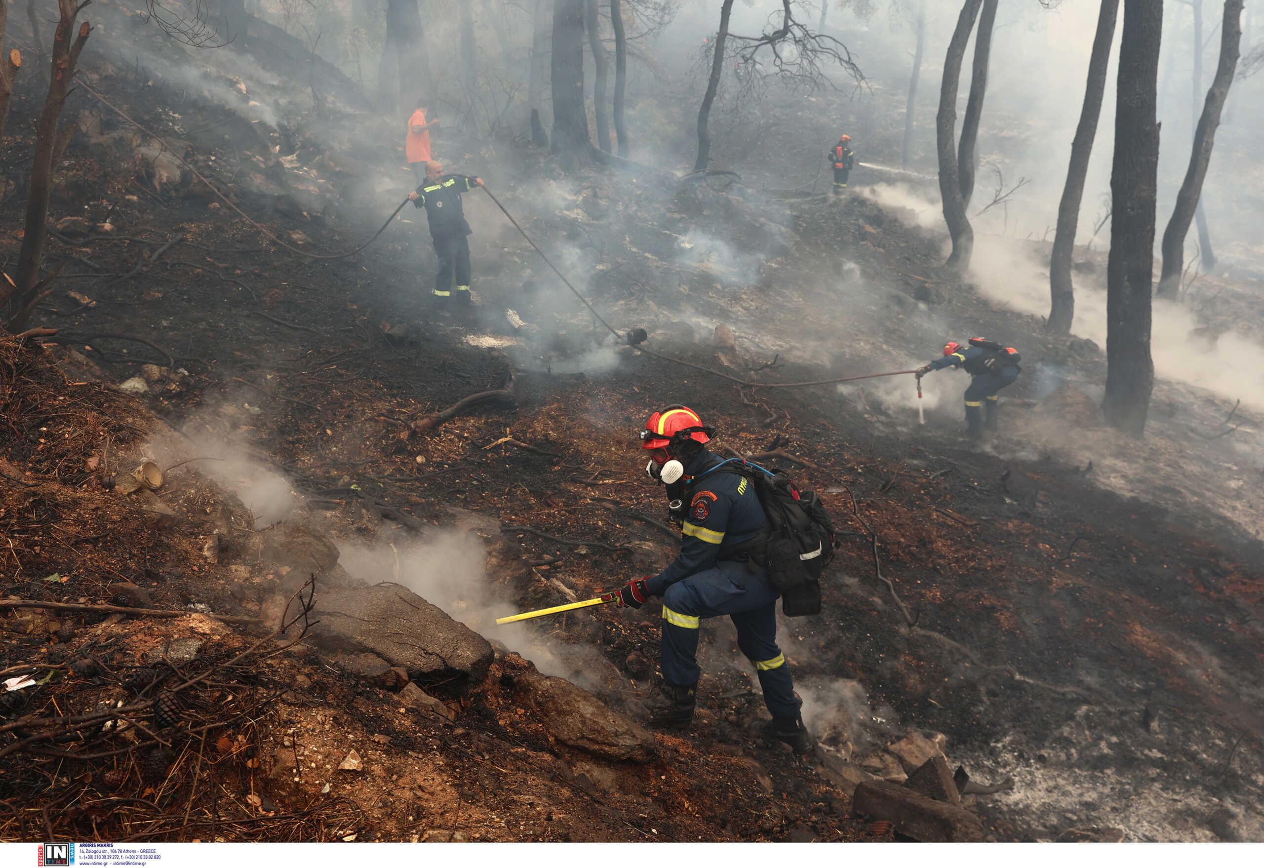 Φωτιές: Στοιχεία στην Βουλή για τα αίτια των πυρκαγιών – 6.200 το 2023, οι 10 οφείλονται σε εμπρησμό
