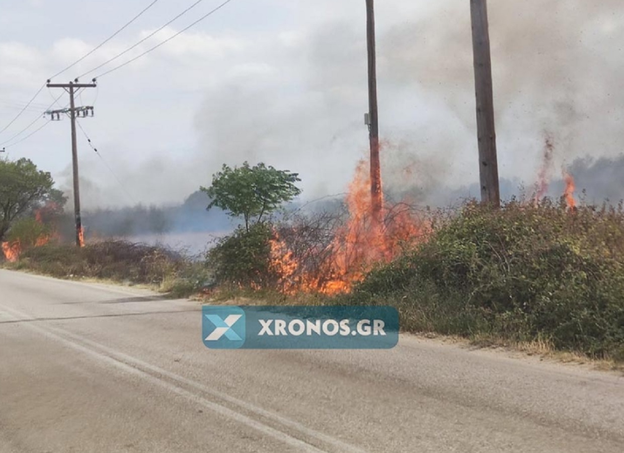 Φωτιά στη Ροδόπη στην περιοχή Θάμνα