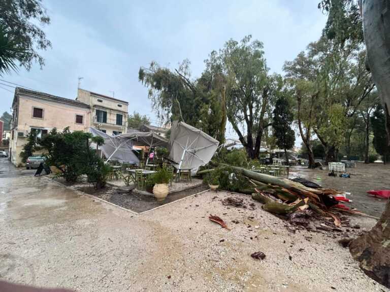 Η κακοκαιρία Daniel προκάλεσε προβλήματα στην Κέρκυρα - Ανεμοστρόβιλος έριξε δέντρο σε ταβέρνα - Από θαύμα σώθηκαν ο ιδιοκτήτης και οι πελάτες