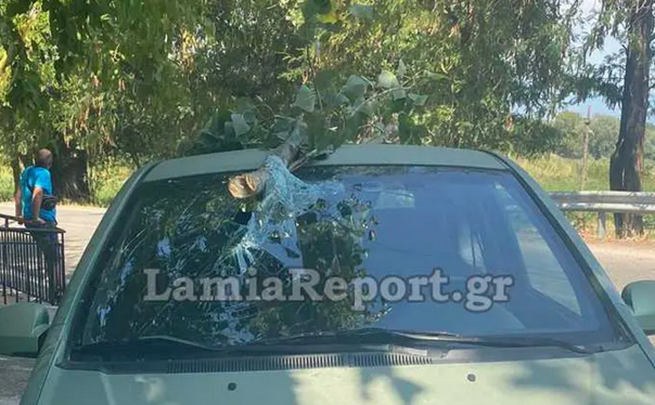 Λαμία: Ατύχημα με κλαδί από δέντρο να τρυπάει παρμπρίζ εν κινήσει αυτοκινήτου – Βίντεο