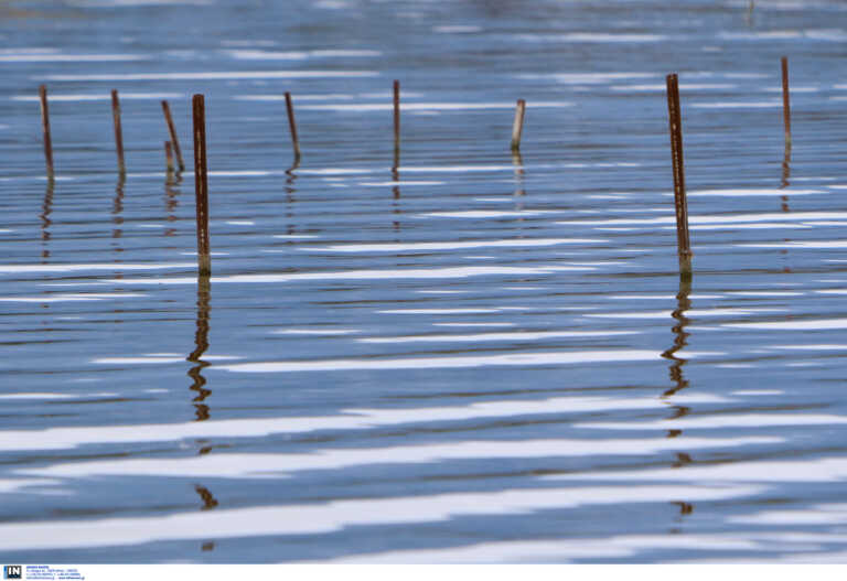 Ταυτοποιήθηκε η σορός του ψαρά που βρέθηκε νεκρός στη λίμνη Κάρλα - Στοιχεία για τον μαρτυρικό θάνατο