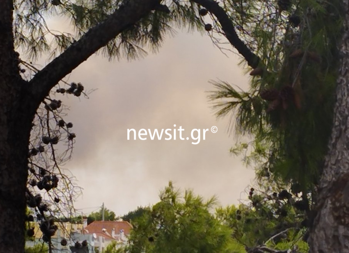 Φωτιά στη Σταμάτα – Καίγεται δάσος της περιοχής, μήνυμα του 112 στους κατοίκους