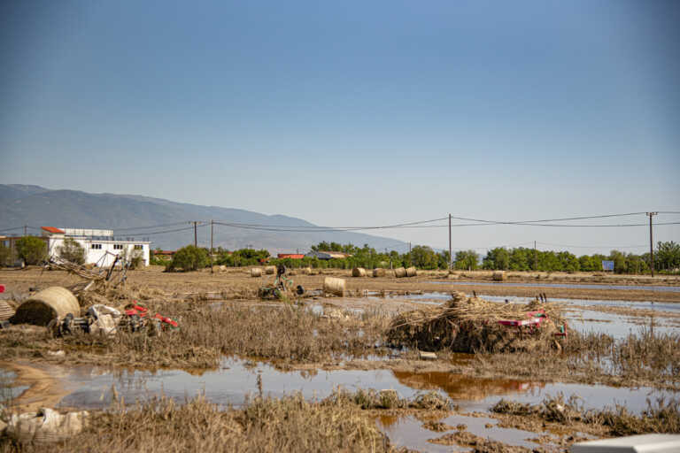 Ενθαρρυντικά στοιχεία για την πλημμυροπαθή Θεσσαλία: Οι περισσότεροι αγροί μπορούν να καλλιεργηθούν ξανά