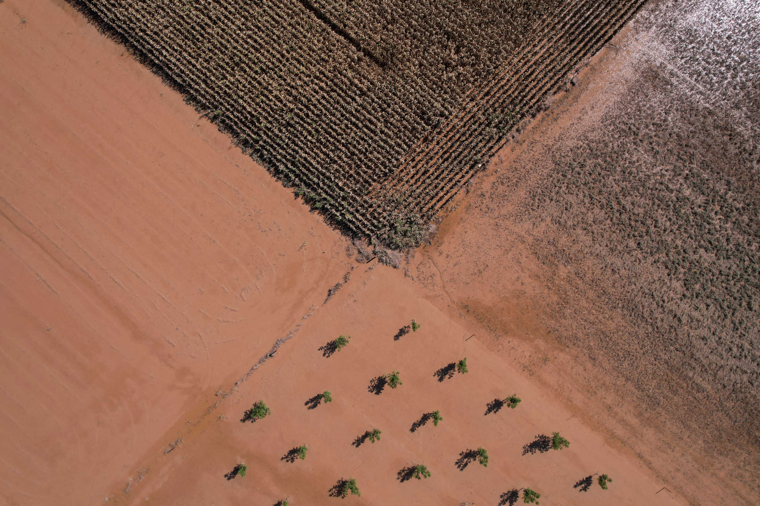 Fields are covered in mud, in the aftermath of Storm Daniel, in Valomandri, in the prefecture of Trikala, Greece, September 10, 2023. REUTERS