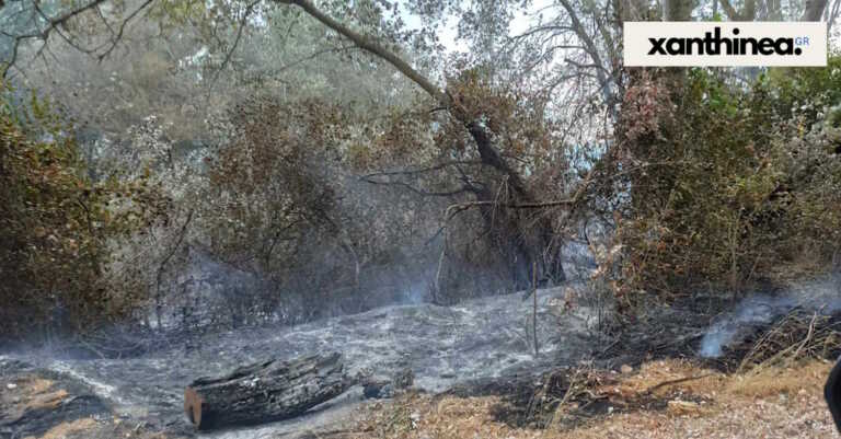 Οριοθετήθηκε η φωτιά στην Ξάνθη - Οι φλόγες ξέσπασαν δασική έκταση στο Δασοχώρι