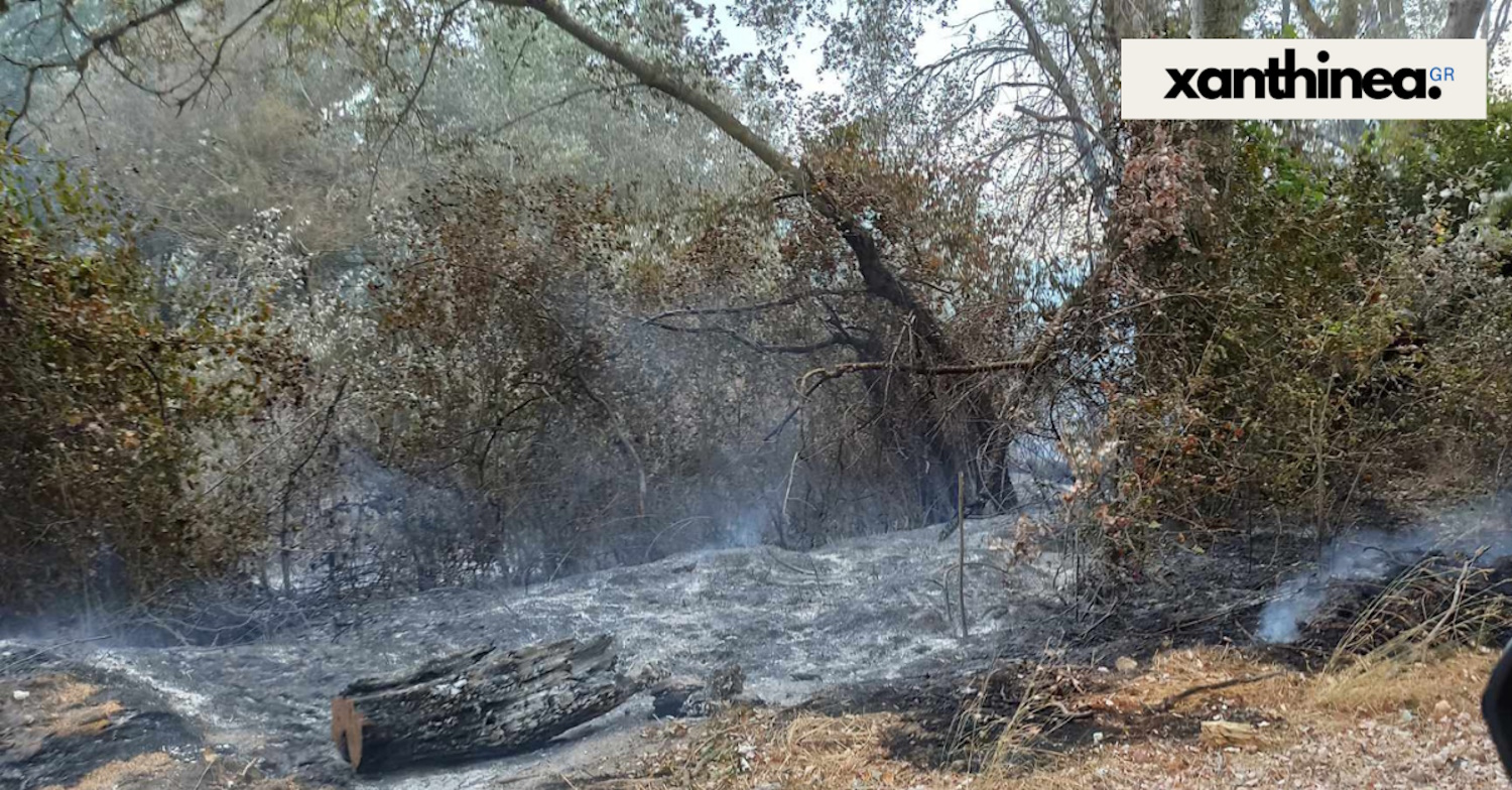 Φωτιά στην Ξάνθη – Καίγεται δασική έκταση στο Δασοχώρι