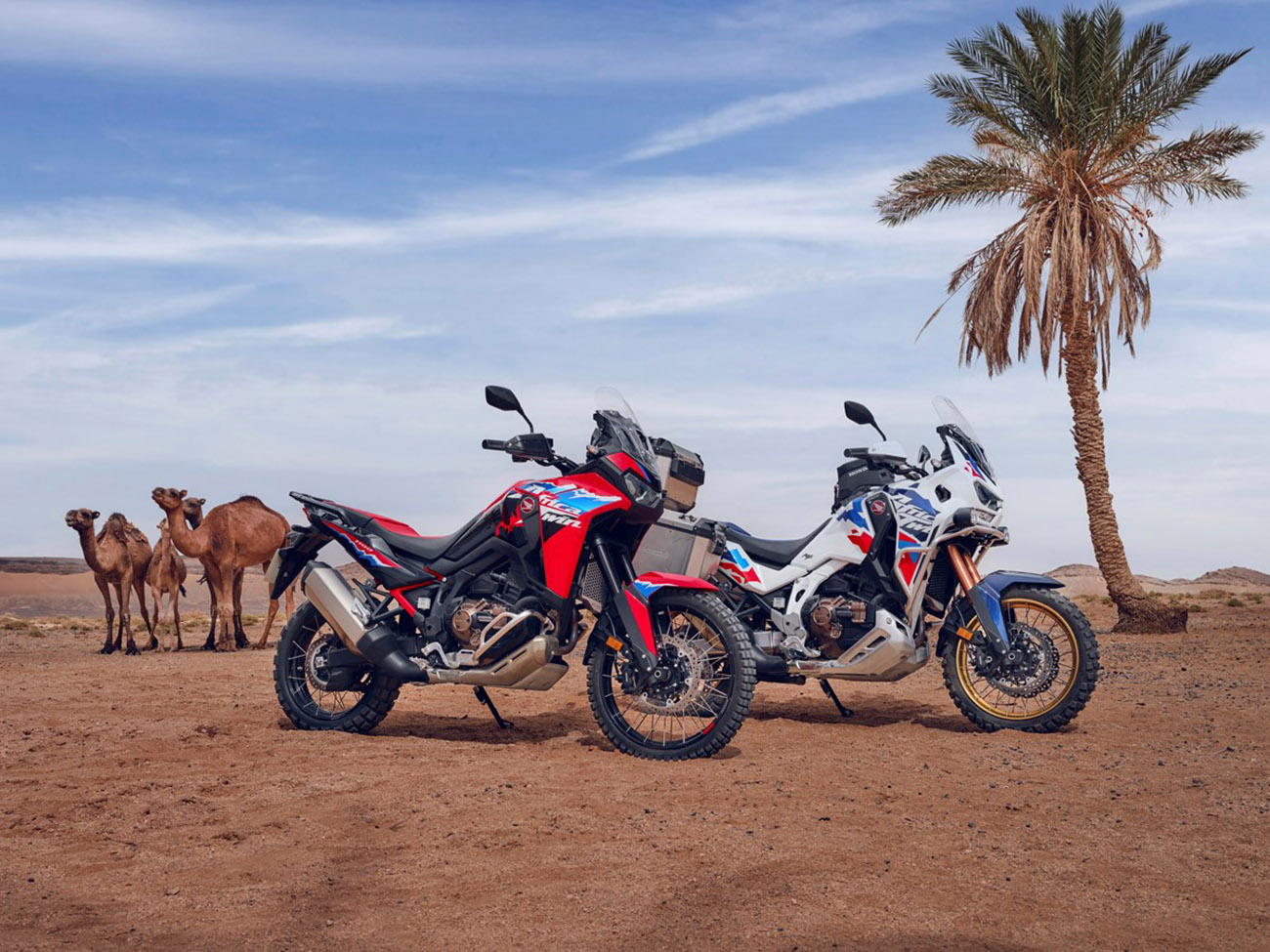 Honda CRF1100L: Βελτιωμένη απόδοση, αυξημένη πρακτικότητα και ανανεωμένη εμφάνιση