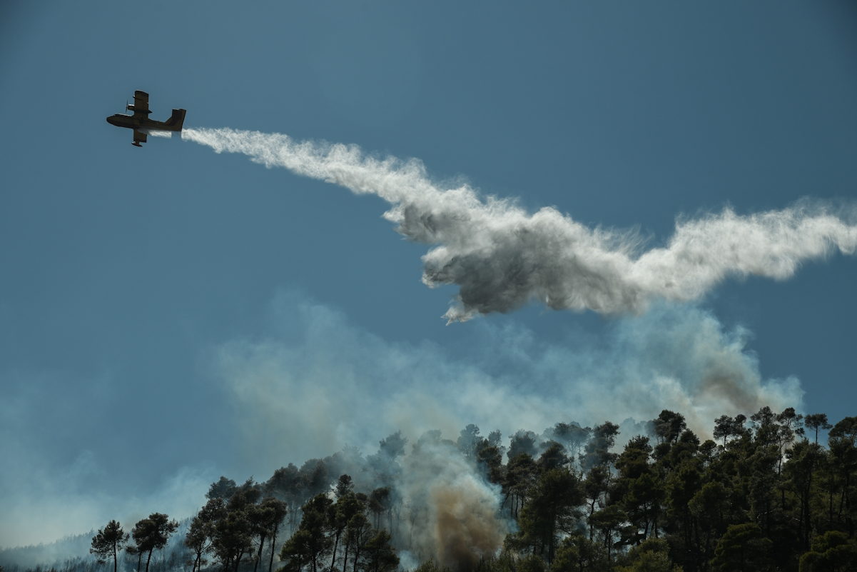 Πυρκαγιά στη Δημοτική Ενότητα Νέας Μάκρης, από Νέα Μάκρη προς Διόνυσο την Τετάρτη 9 Σεπτεμβρίου 2020. Σύμφωνα με την Πυροσβεστική, η φωτιά ξέσπασε σε δασική έκταση (καίει αναγεννημένο πευκοδάσος) και άμεσα κινητοποιήθηκαν 31 πυροσβέστες με 2 ομάδες πεζοπόρων τμημάτων, 8 οχήματα, 2 αεροσκάφη και 3 ελικόπτερα, ενώ συνδράμουν εθελοντές πυροσβέστες και υδροφόρες ΟΤΑ. 
(EUROKINISSI