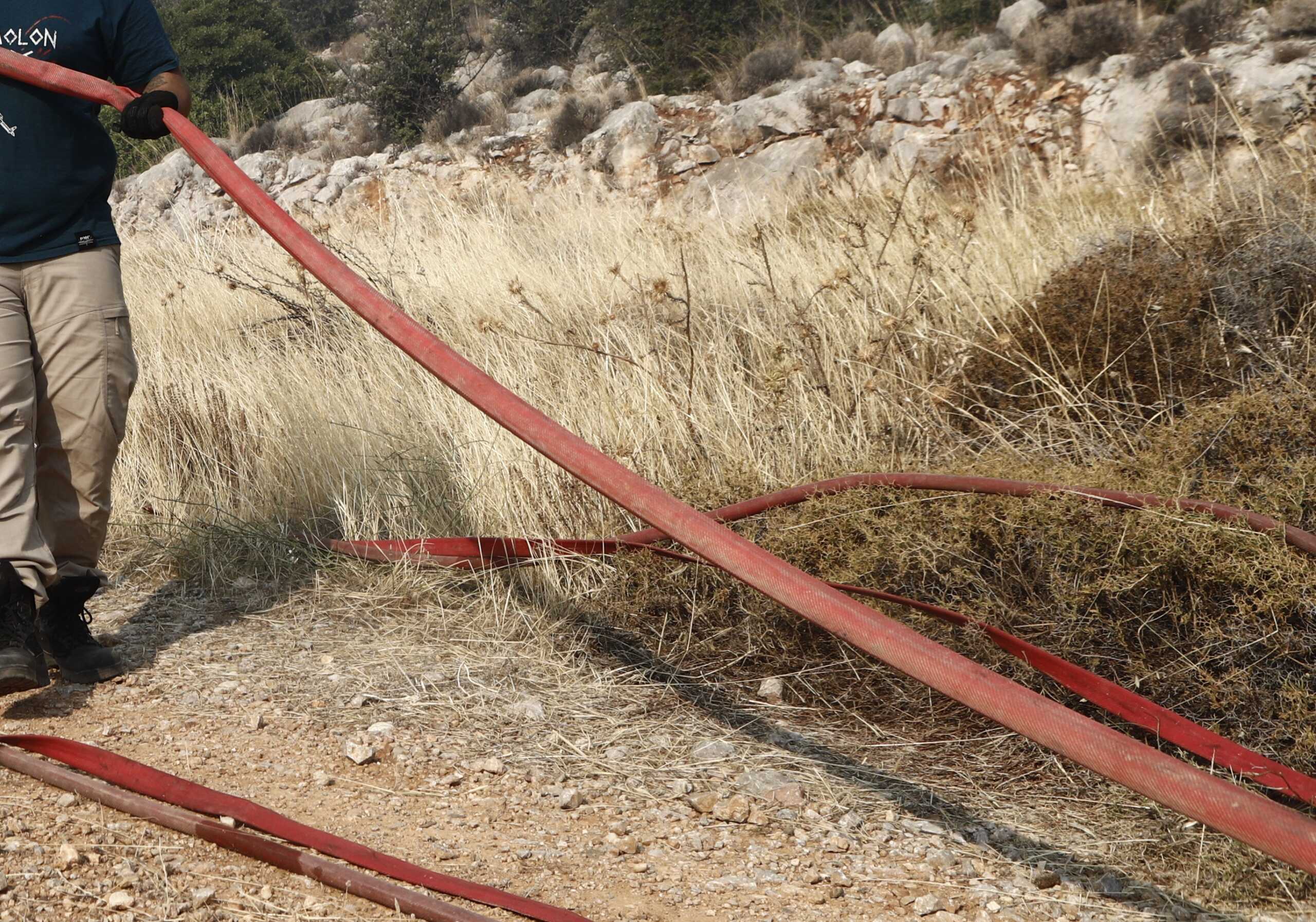 Φωτιά στον Σχoινιά δίπλα στο κωπηλατοδρόμιο