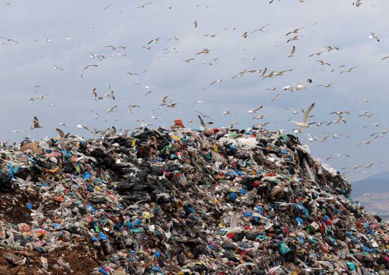 Ξεπερνούν τα 80 εκατ. τόνους οι συσκευασίες που πετάμε κάθε χρόνο - Πόσοι ανακυκλώνονται
