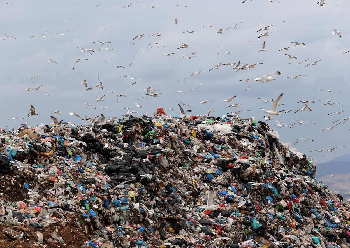 Ανακύκλωση: 84 εκατ. τόνους συσκευασιών πετάμε κάθε χρόνο