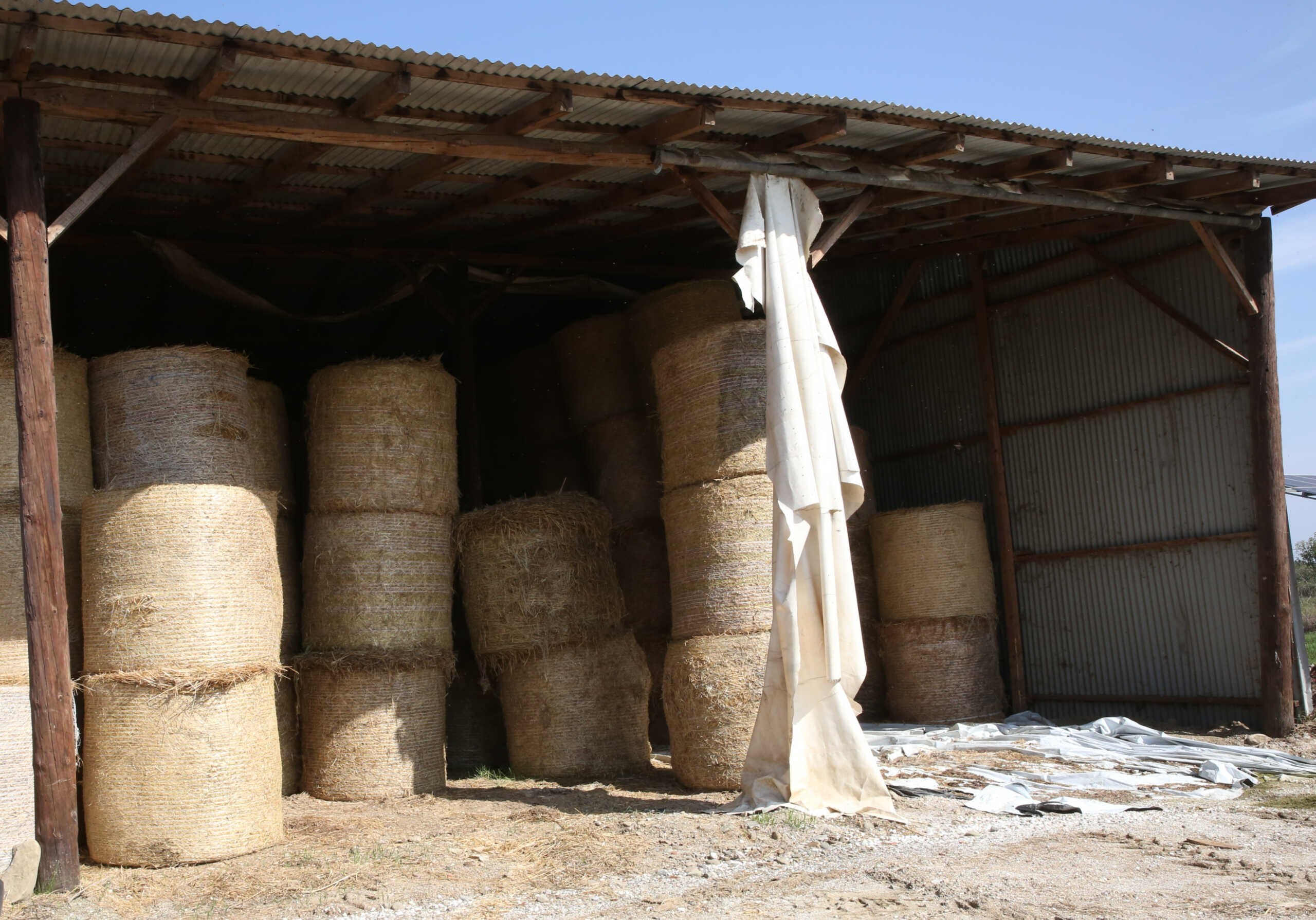 ΕΛΓΑ: Το χρονοδιάγραμμα πληρωμών για τις αποζημιώσεις κτηνοτρόφων, μελισσοκόμων και γεωργών της Θεσσαλίας