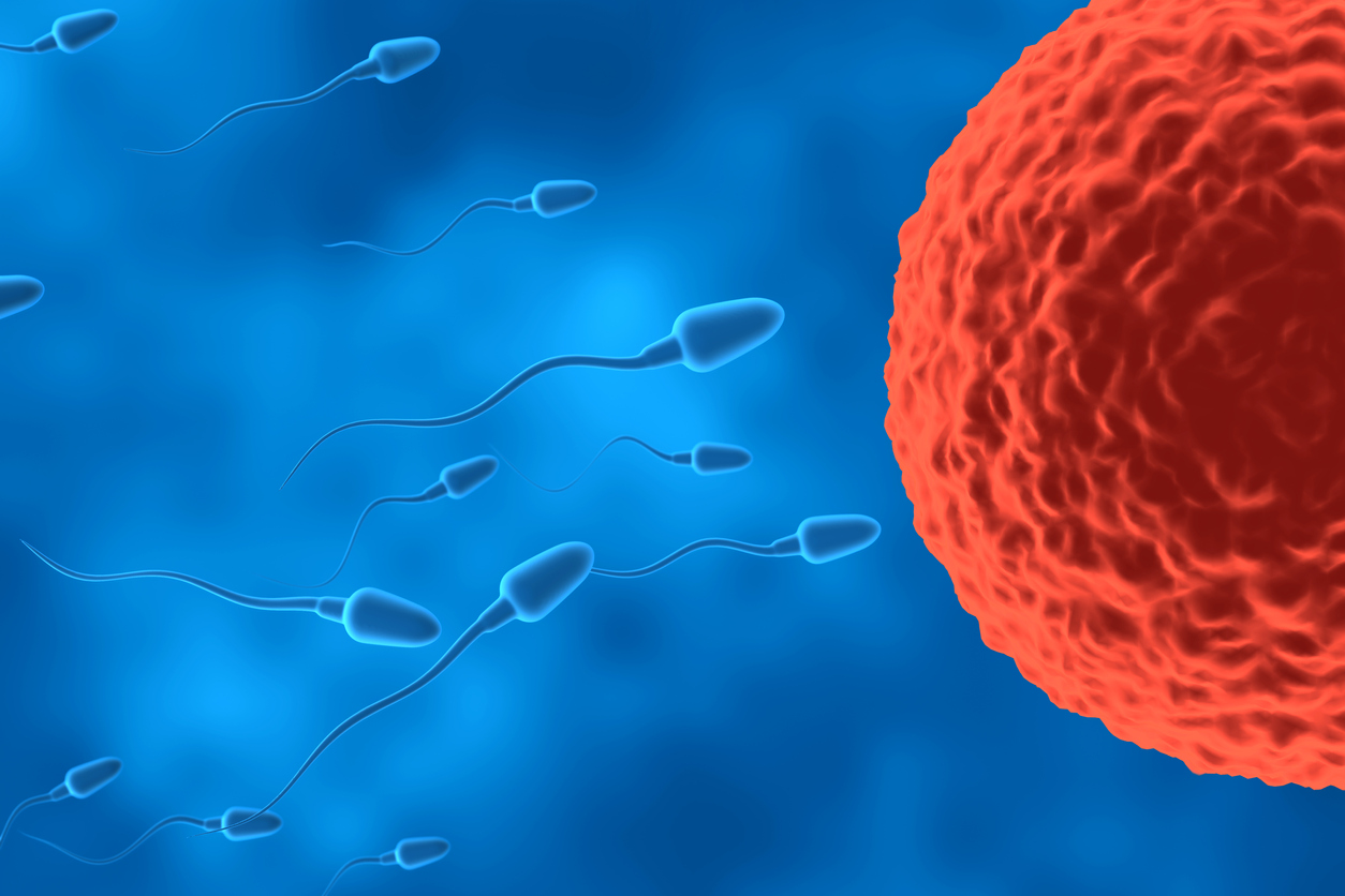 Human Egg, DNA, Thailand, Sperm, In Vitro Fertilization