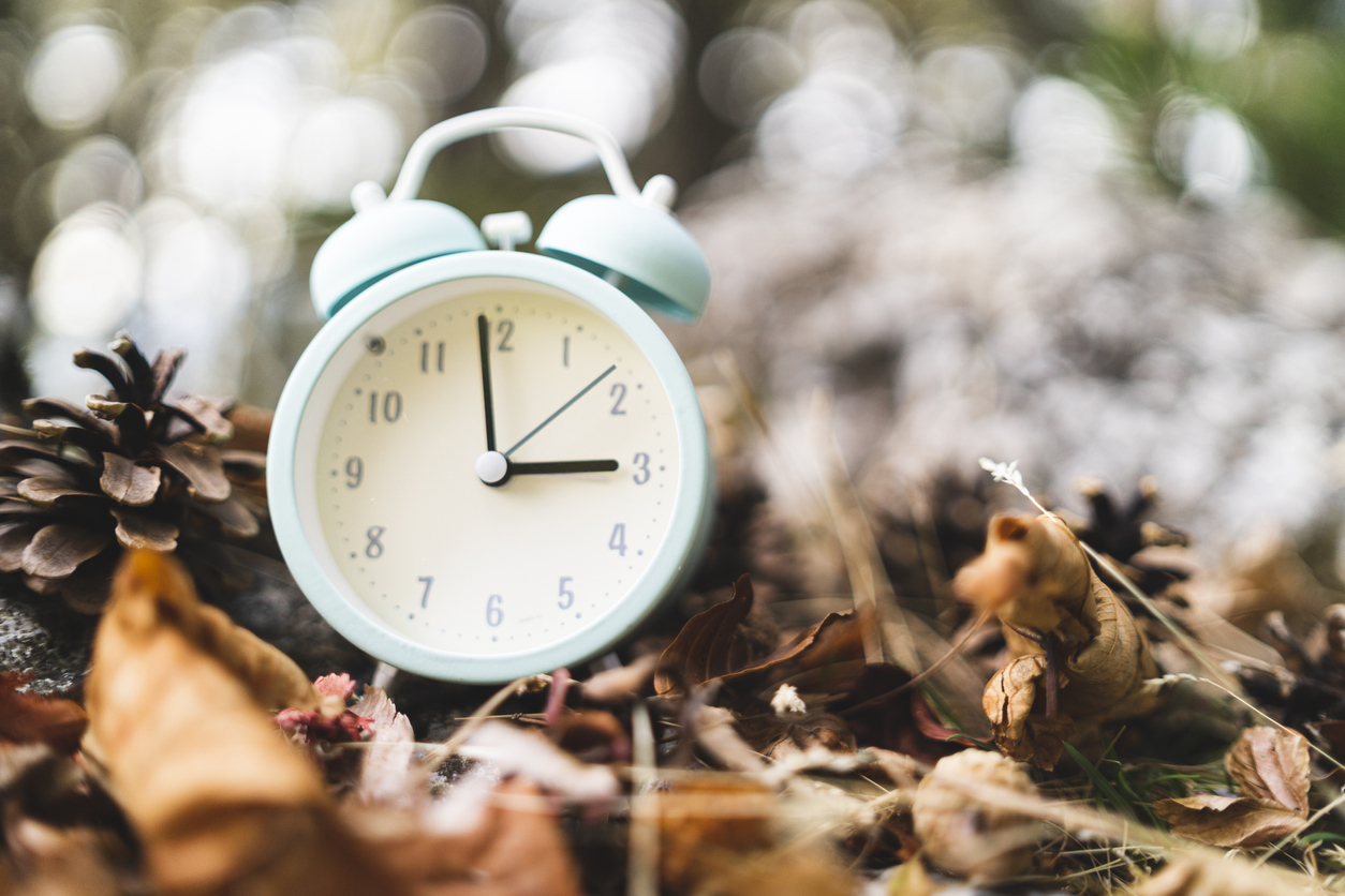 Close up of Vintage white alarm clock in dry autum leaves and pine cones in forest. Fall Back Time Change concept. High quality photo