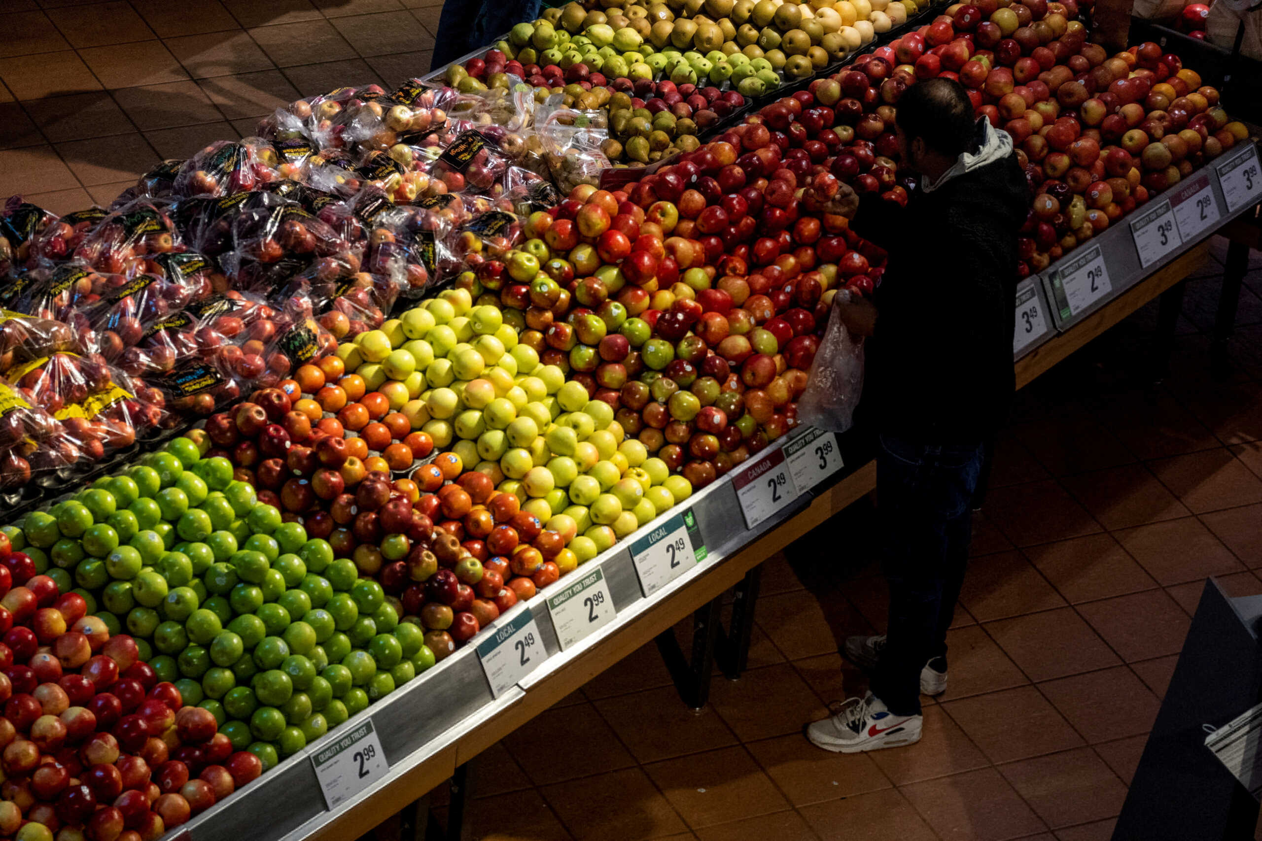 FILE PHOTO: A  man checks an apple while shopping at a grocery store in Toronto, Ontario, Canada November 22, 2022.  REUTERS