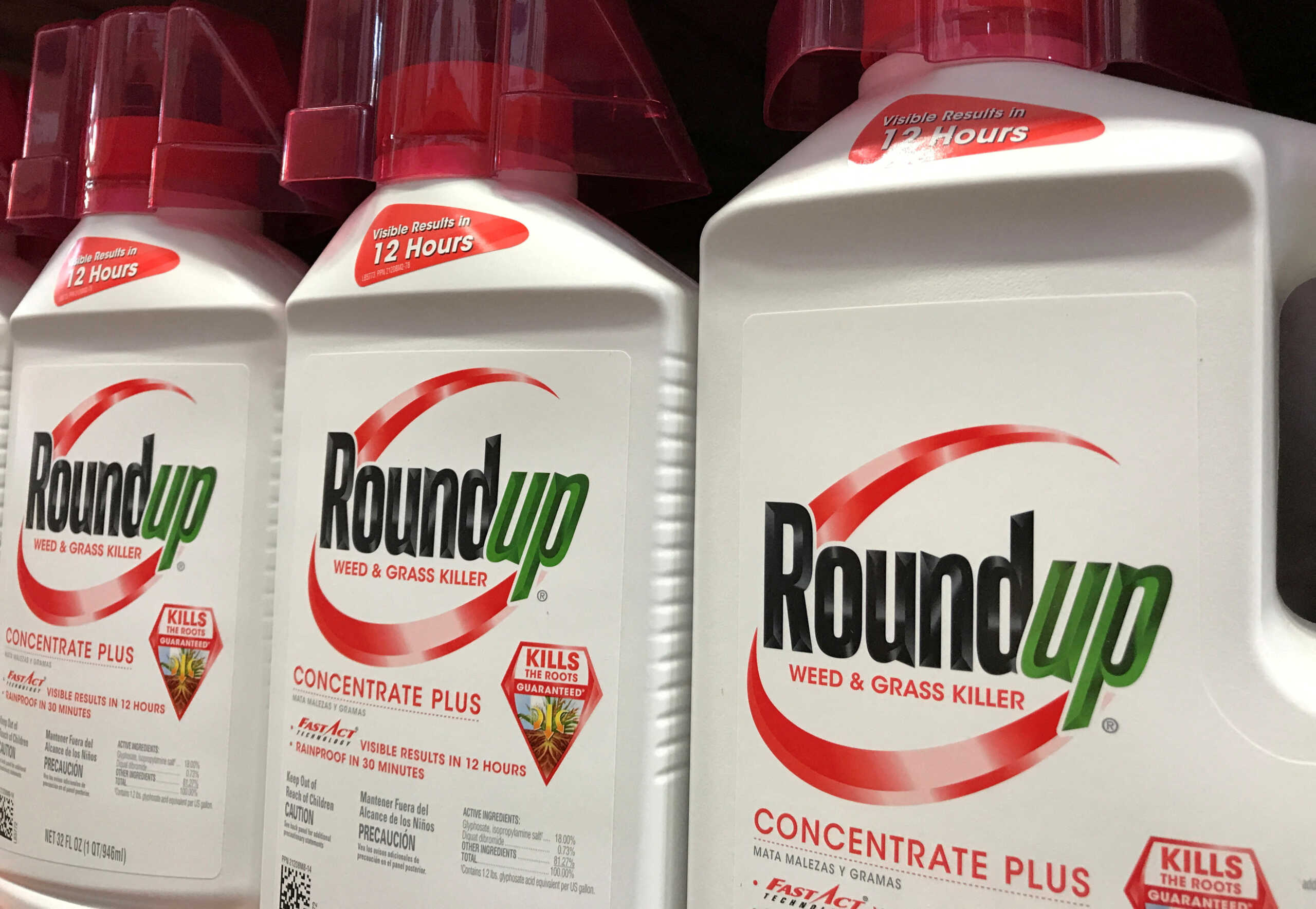 FILE PHOTO: Monsanto Co's Roundup is shown for sale in Encinitas, California, U.S., June 26, 2017.  REUTERS