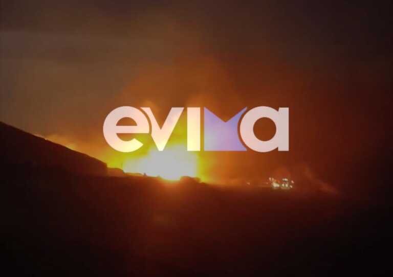 Έκαψε στάβλους και κτηνοτροφικές μονάδες η μεγάλη φωτιά στην Εύβοια - Η τελευταία εικόνα από το πύρινο μέτωπο στην Κάρυστο