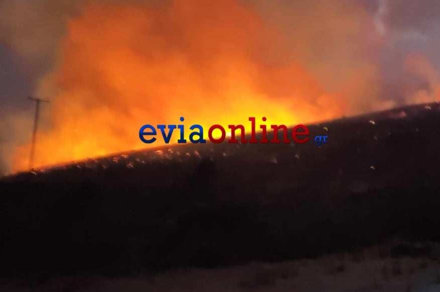 Φωτιά στην Εύβοια: Έκαψε στάβλους και κτηνοτροφικές μονάδες – Η τελευταία εικόνα από το πύρινο μέτωπο