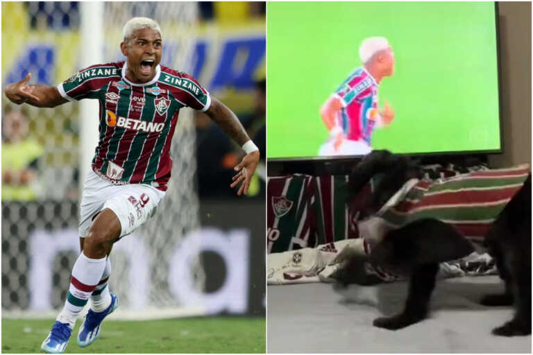 Σκύλος πανηγυρίζει έξαλλα το γκολ τίτλου της Φλουμινένσε κόντρα στην Μπόκα Τζούνιορς στον τελικό του Copa Libertadores
