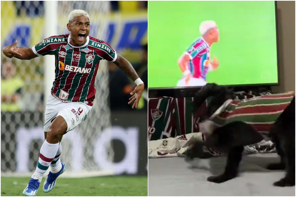 Φλουμινένσε: Σκύλος πανηγυρίζει έξαλλα το γκολ τίτλου κόντρα στην Μπόκα Τζούνιορς στον τελικό του Copa Libertadores