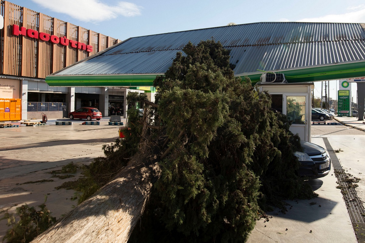 Καιρός – Θεσσαλονίκη: Φύσηξε προβλήματα στην πόλη – 150 κλήσεις για βοήθεια δέχθηκε η Πυροσβεστική